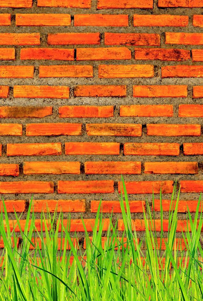 Wall from brick and brick background, wall vintage texture from brick. photo