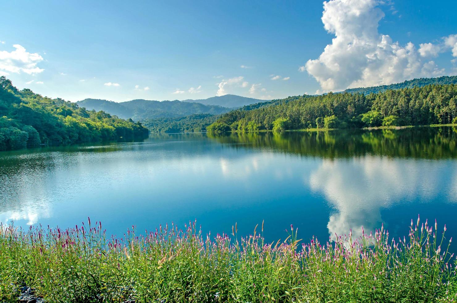 paisaje de la presa y el lago en la montaña con árboles y bosques. foto