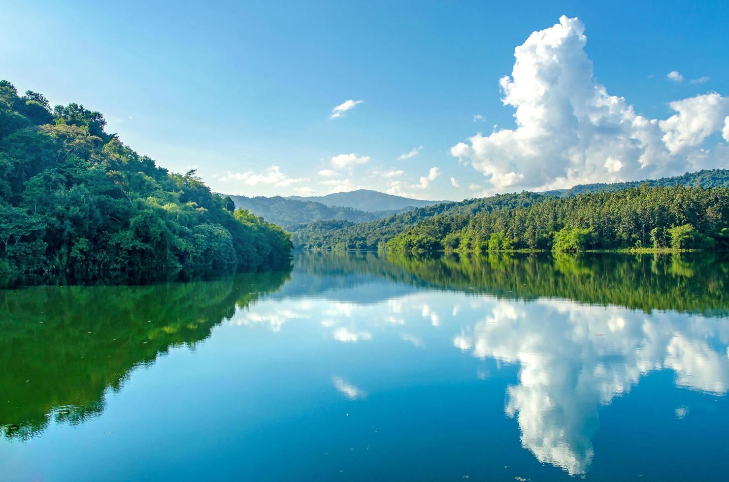 paisaje de la presa y el lago en la montaña con árboles y bosques. foto