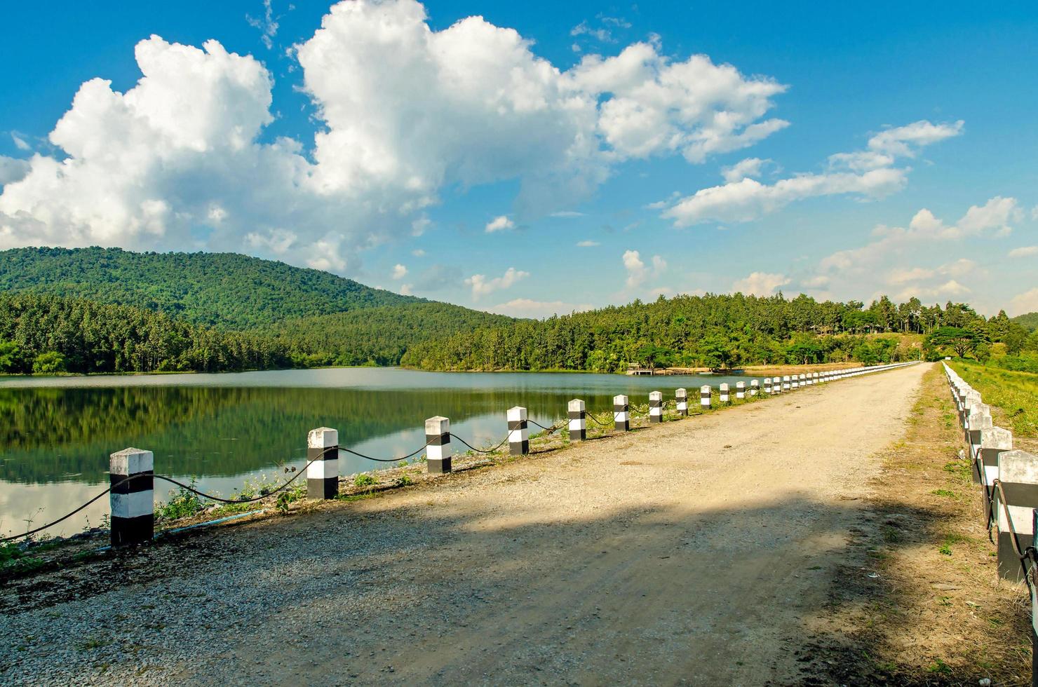 Landscape of the dam and lake on the mountain with tree and forest. photo