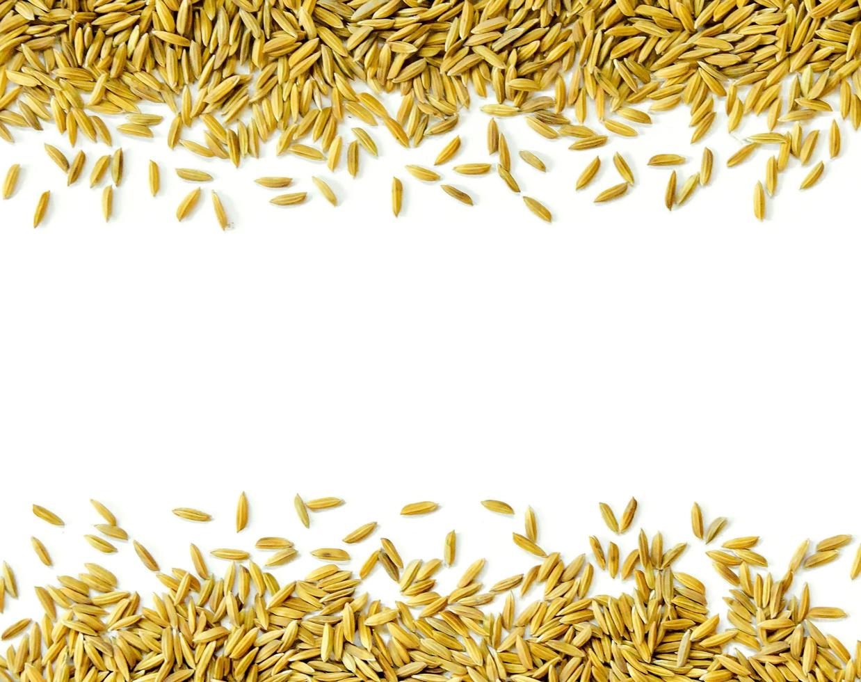 Top view paddy rice and rice seed, Brown of rice grain and rice pile. photo
