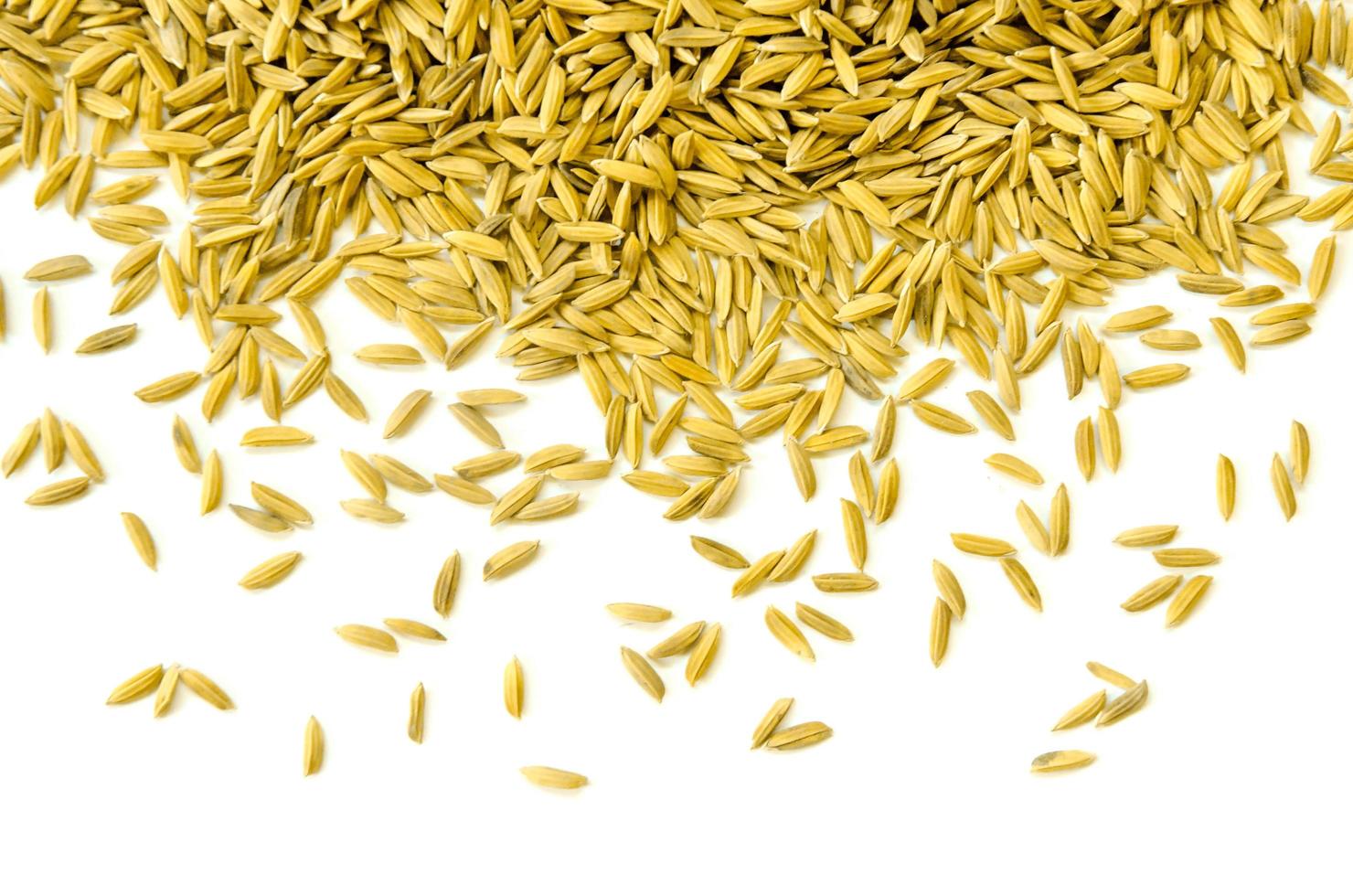 Top view paddy rice and rice seed, Brown of rice grain and rice pile. photo