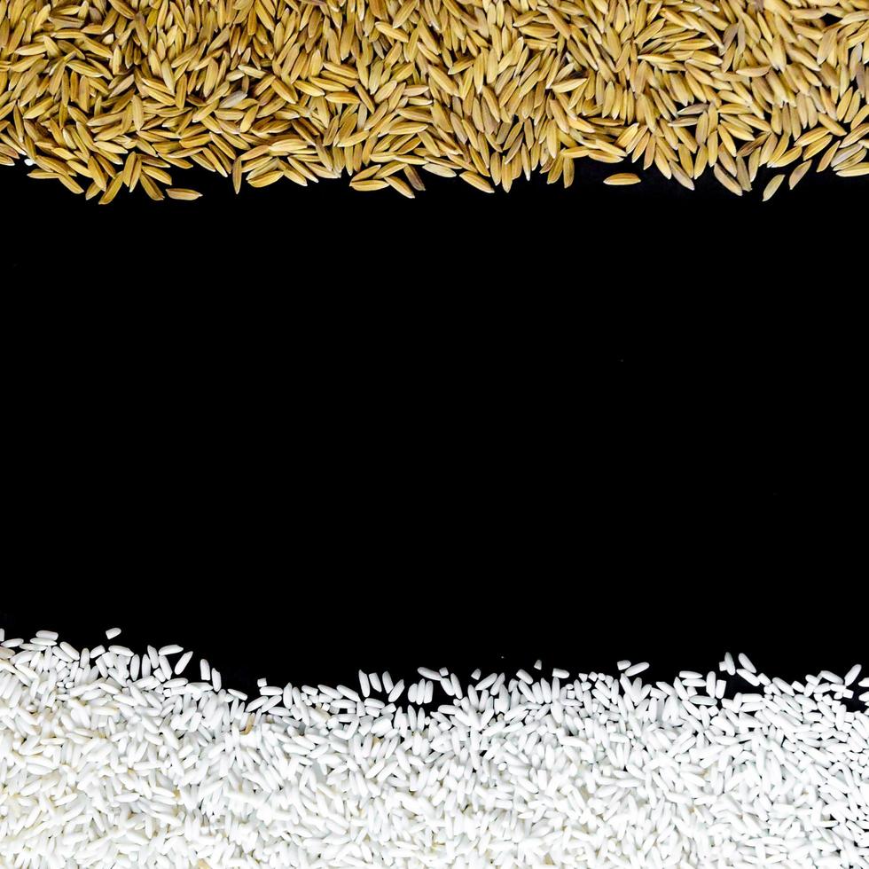 Top view paddy rice and rice seed, Brown of rice grain and rice pile. photo
