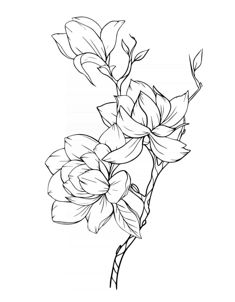 Magnolia Flower Outline Magnolia LIne Art Line Drawing vector