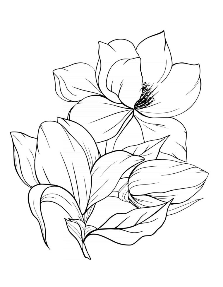 Magnolia Flower Outline Magnolia LIne Art Line Drawing vector