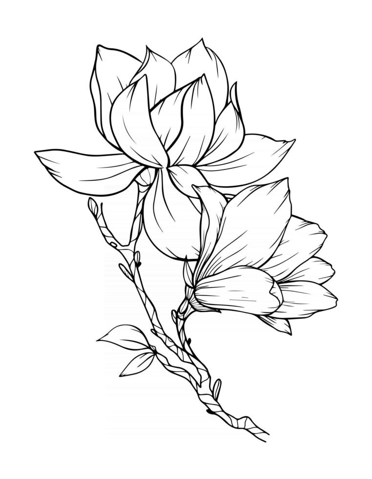 Magnolia Flower Outline Magnolia LIne Art Line Drawing vector