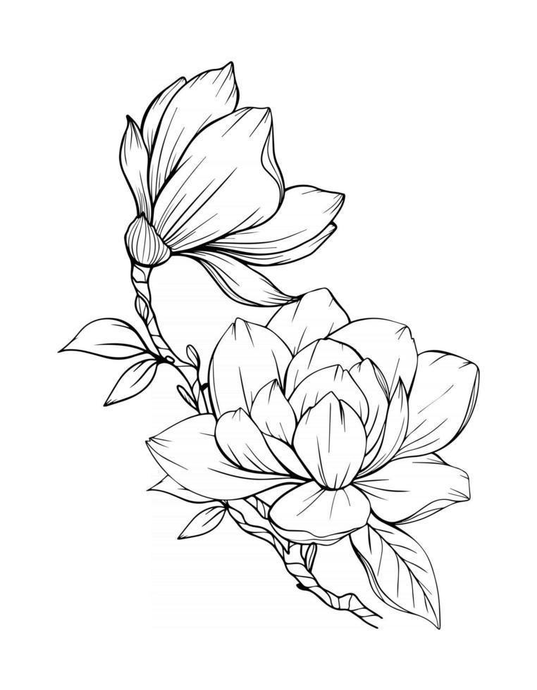 Magnolia flower drawing illustration. Black and white with line art Stock  Vector Image & Art - Alamy