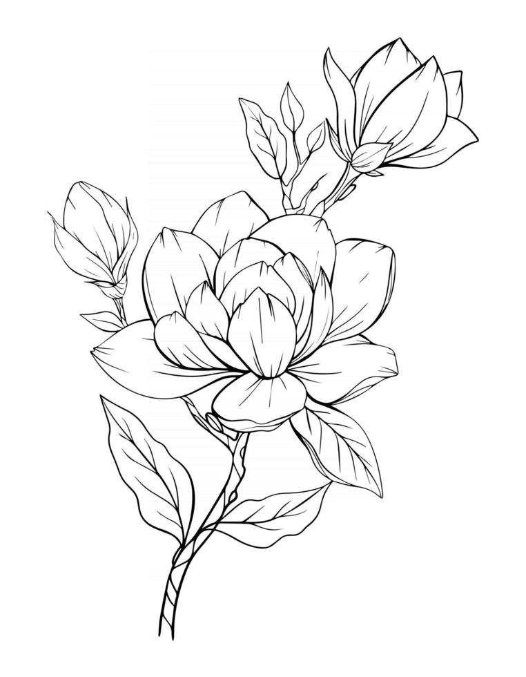 magnolia flor contorno magnolia arte lineal dibujo lineal vector