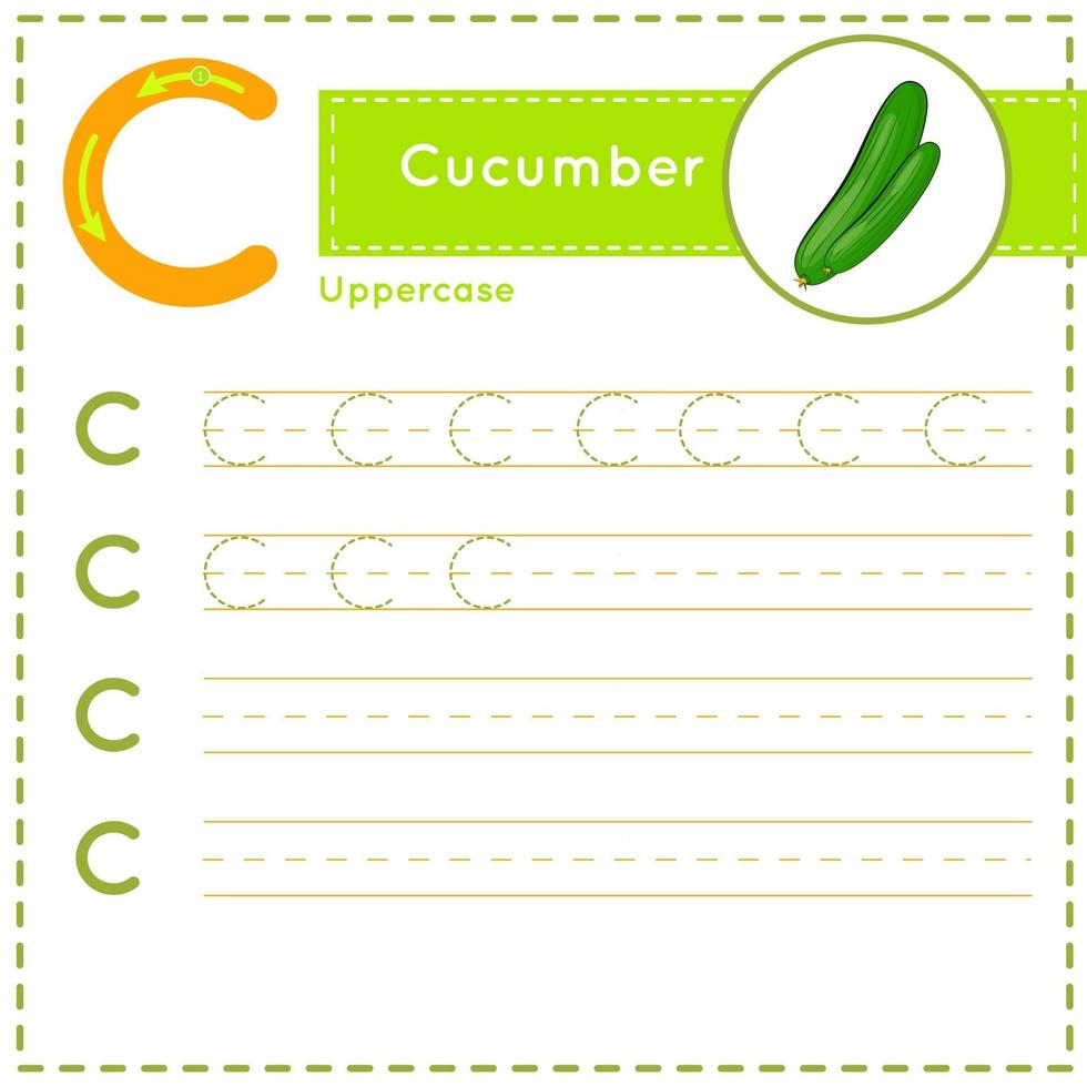 Children alphabet Tracing practice worksheet for kids Letter C vector