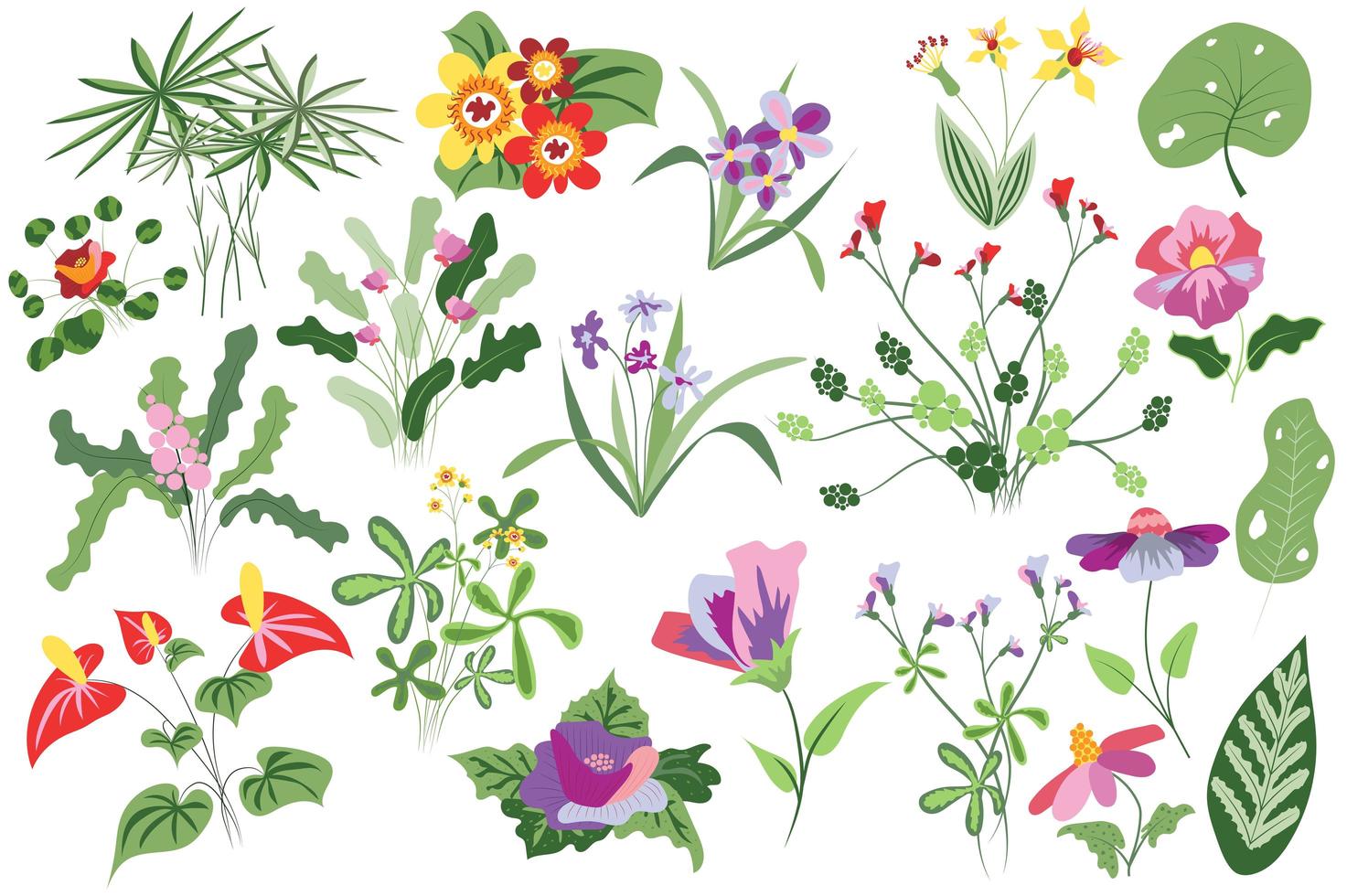 conjunto aislado de flores y plantas vector