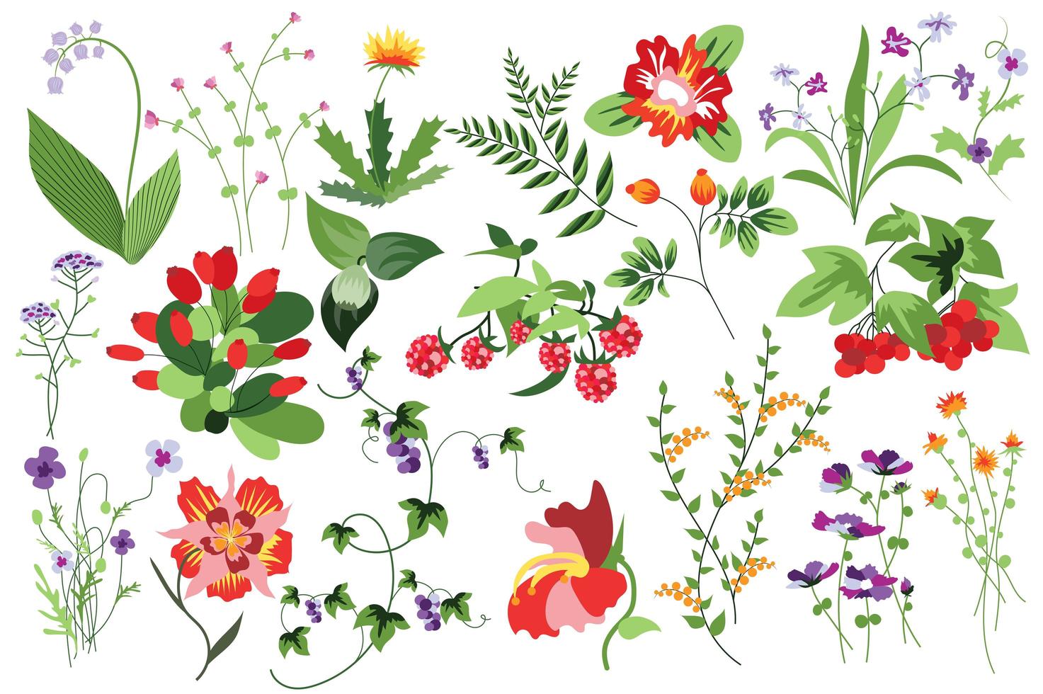 Flower and plants isolated set vector