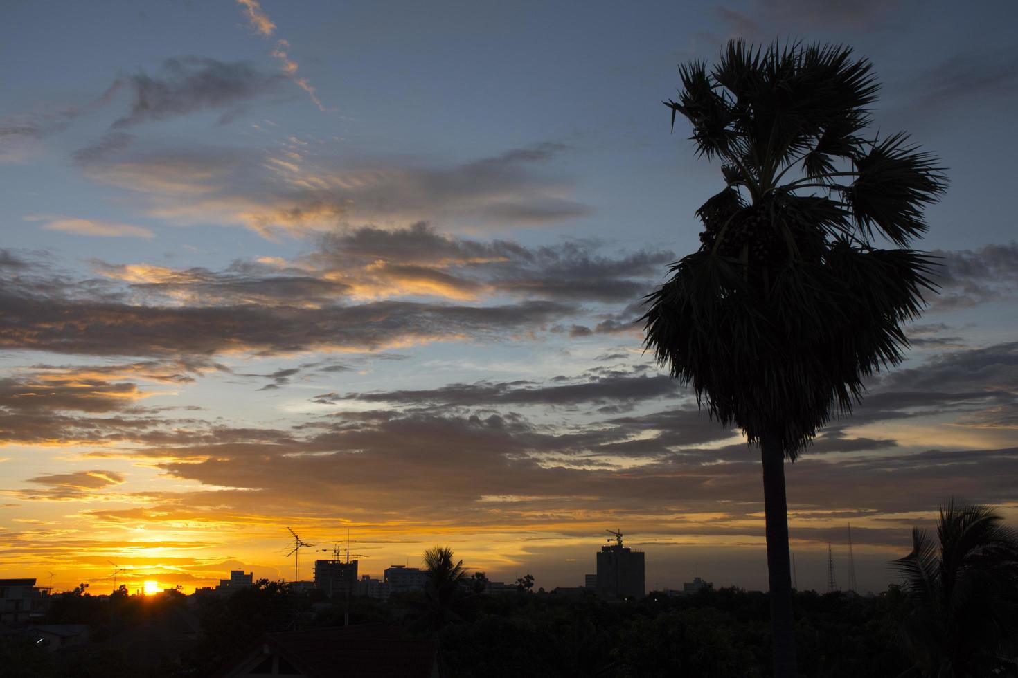 Silhouette abstract town and sugar palm with twilight sky photo