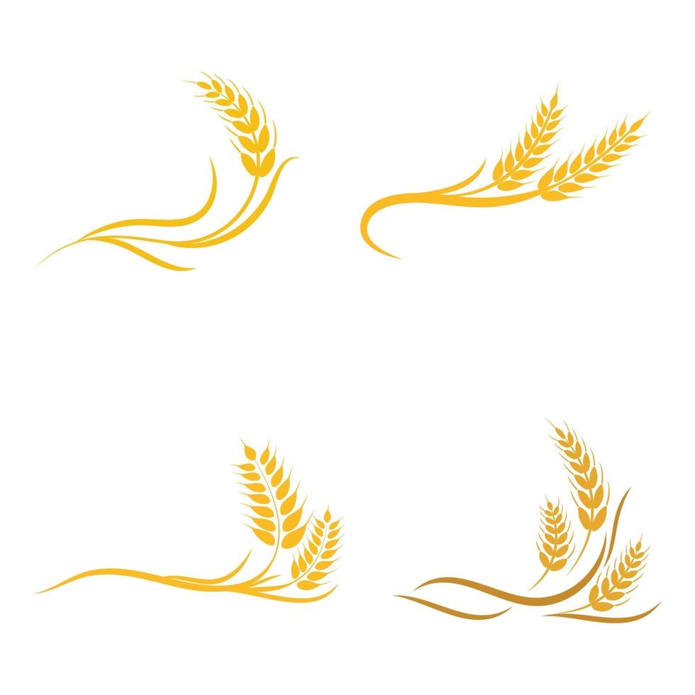 Agriculture wheat vector icon design