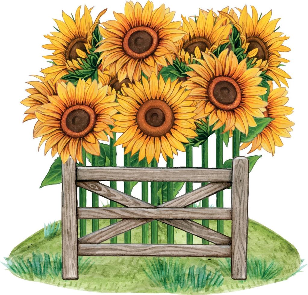 Watercolor sunflower rustic country decoration vector