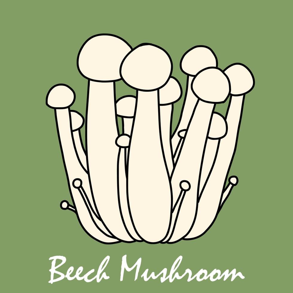 Doodle freehand sketch drawing of beech mushroom vegetable. vector