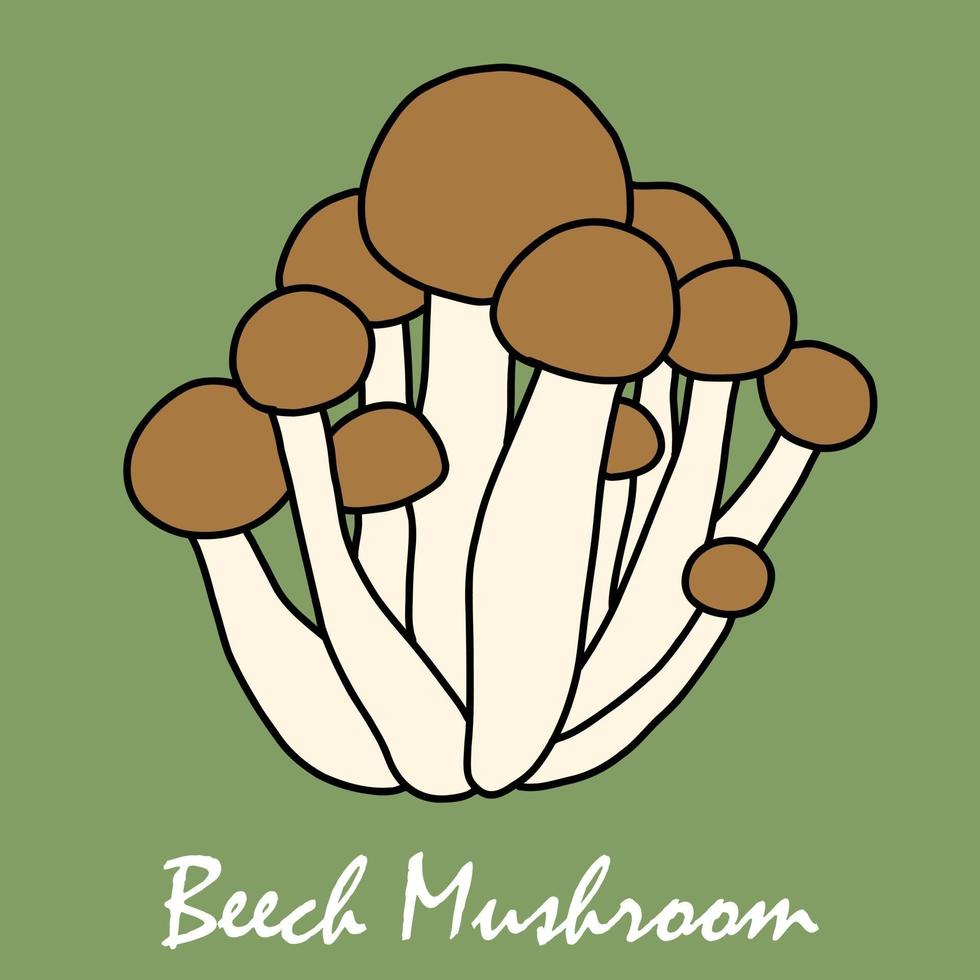 Doodle freehand sketch drawing of beech mushroom vegetable. vector