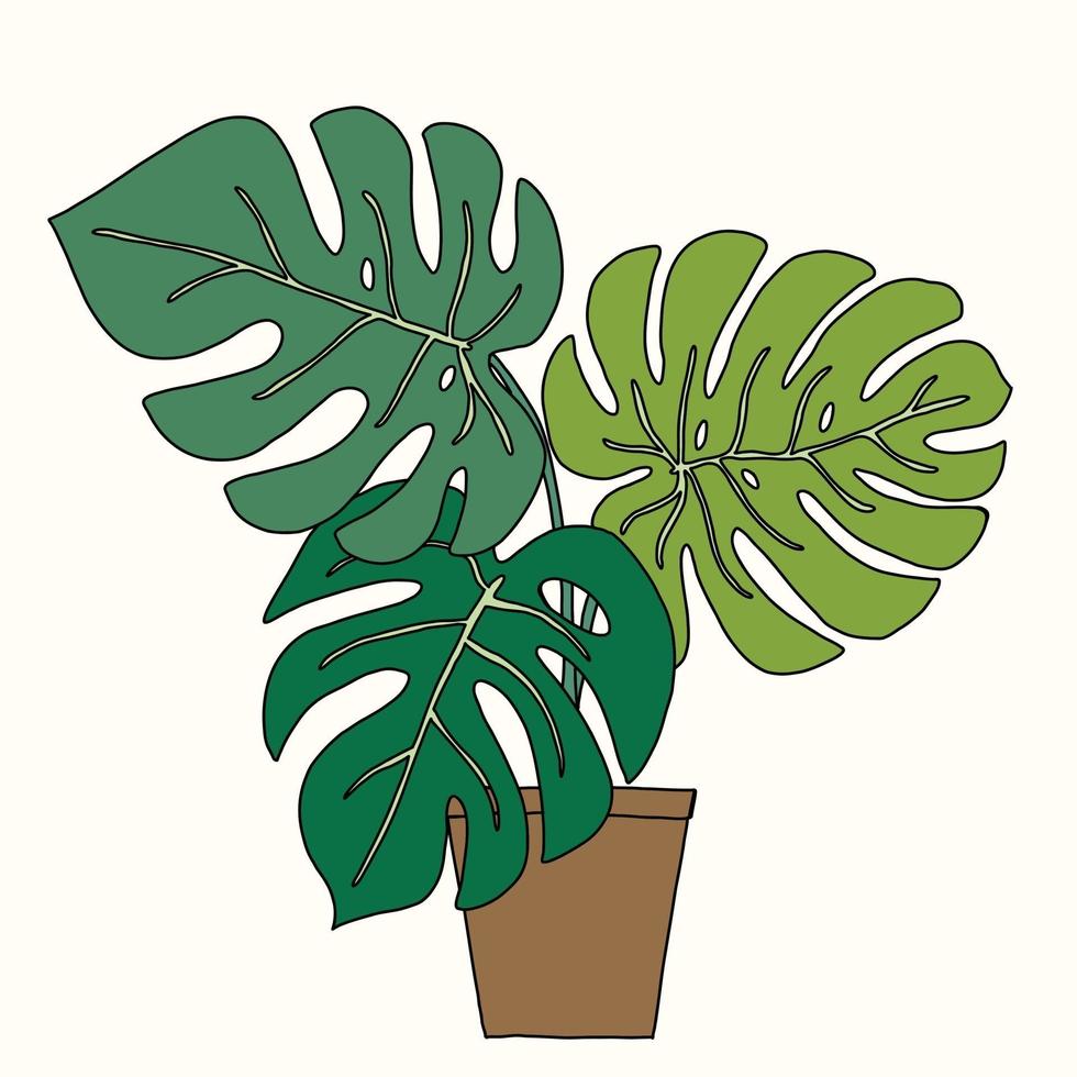 simplicidad monstera planta dibujo de contorno a mano alzada diseño plano. vector