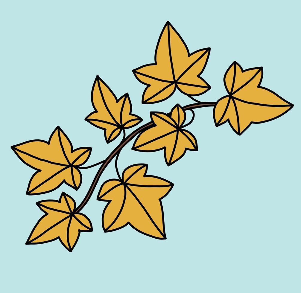 Simplicity ivy freehand drawing flat design. vector