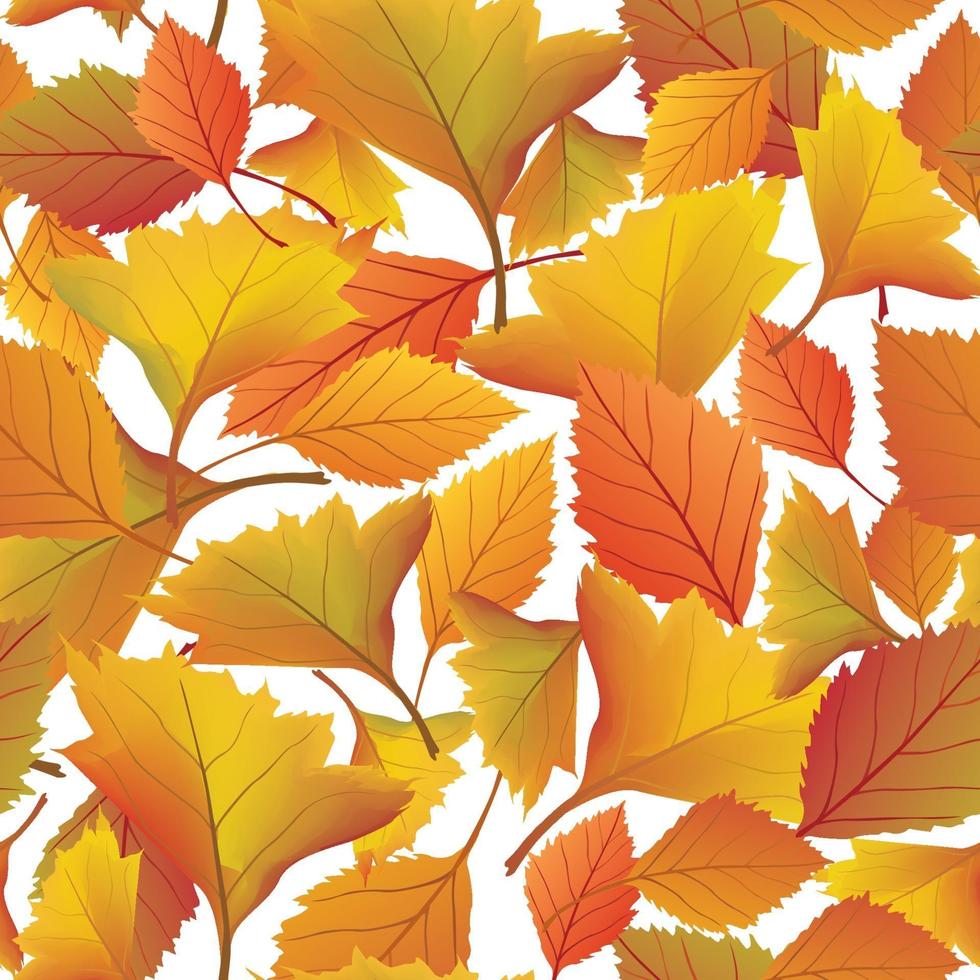 Autumn leaves seamless pattern. Fall leaf garden nature background vector