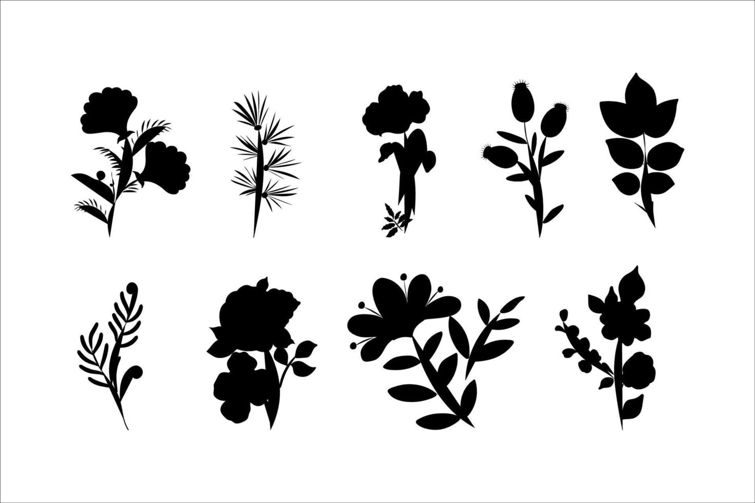 botanical leaf vector