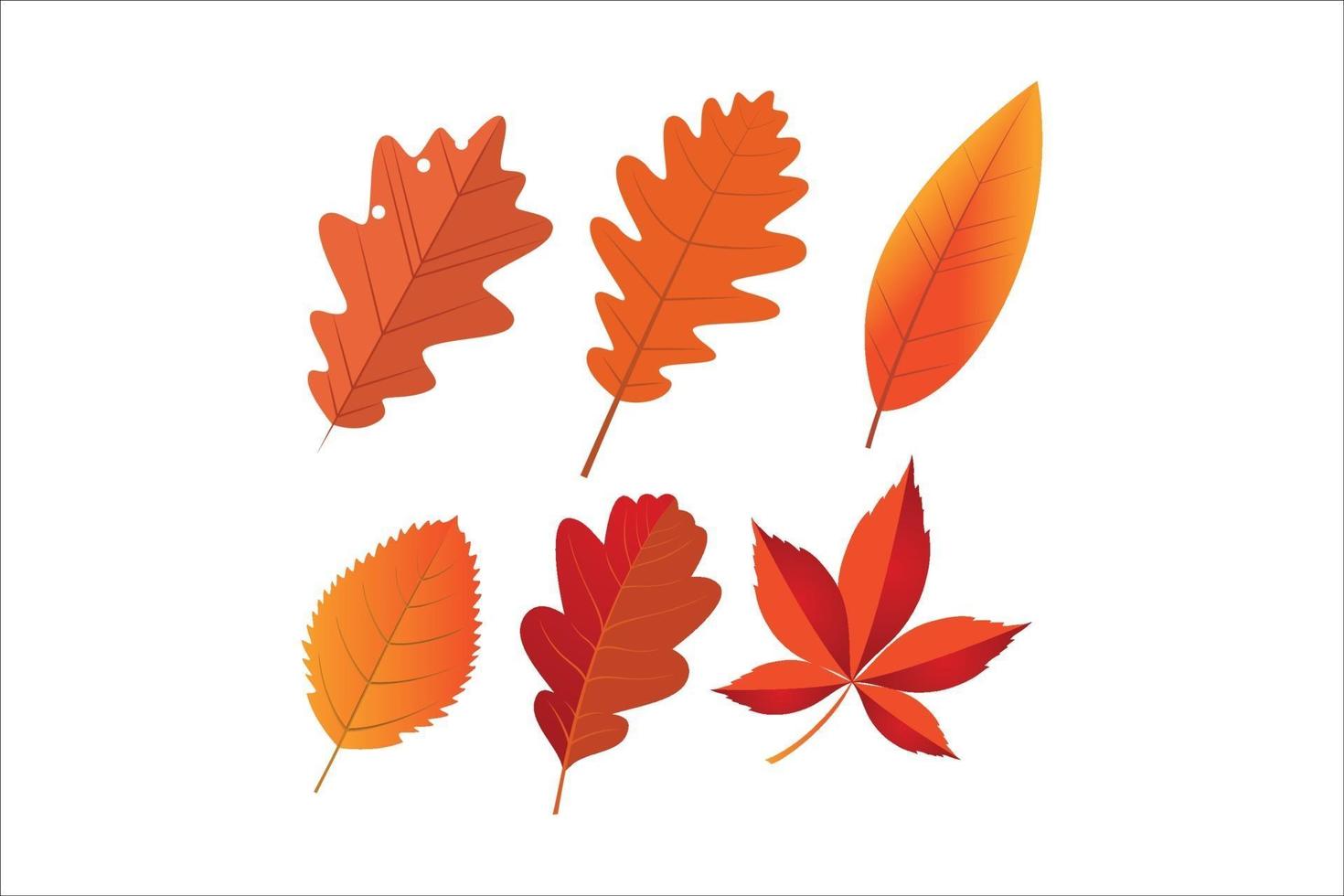 set of autumn leaves vector