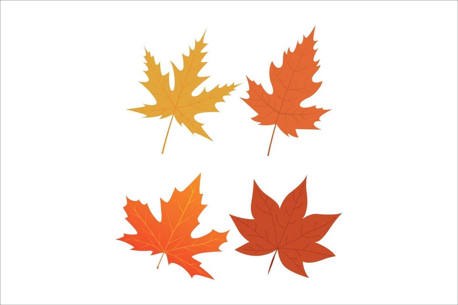set of autumn leaves vector