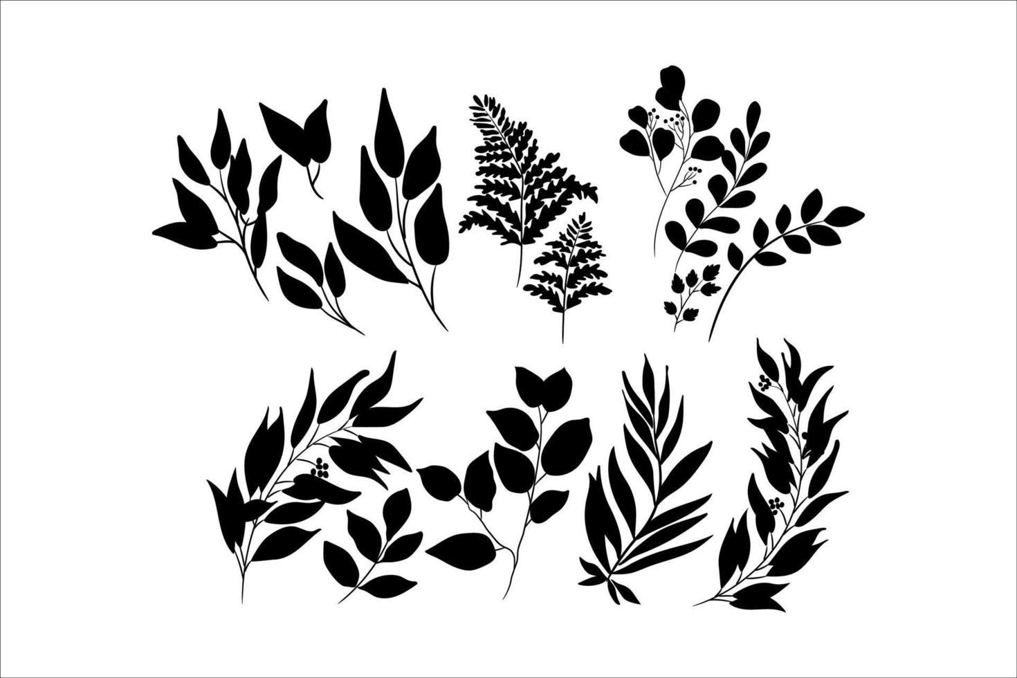 set of floral design elements vector