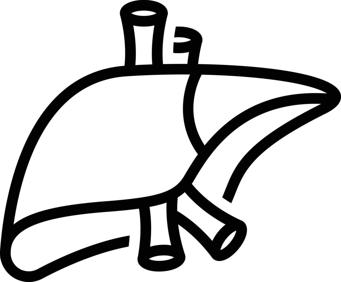 Line icon for liver vector