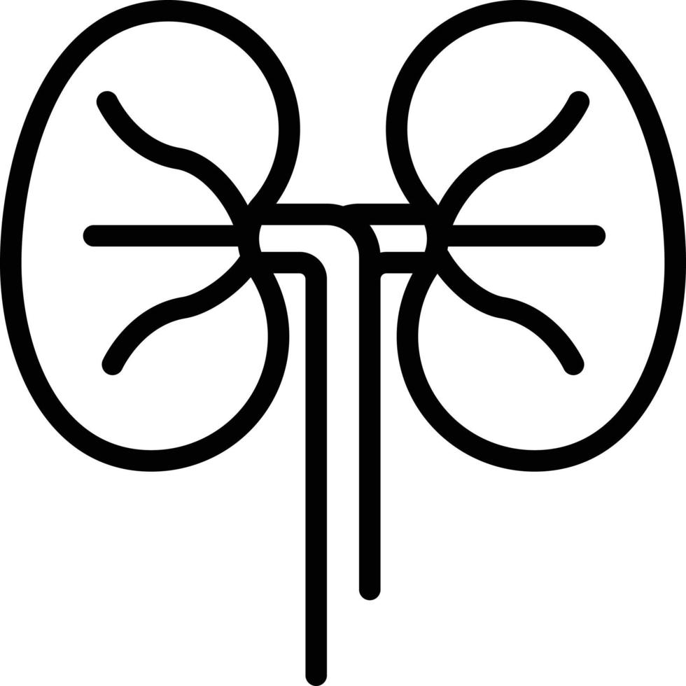 Line icon for kidneys vector