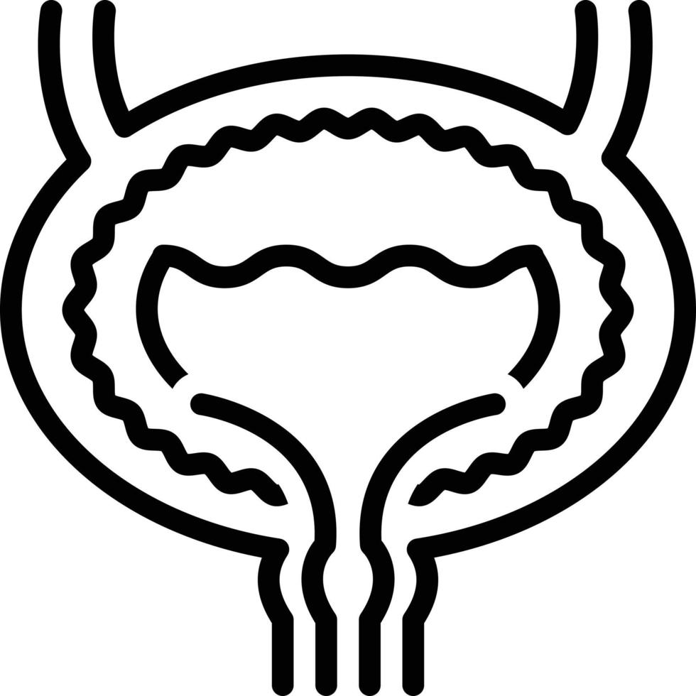 Line icon for bladder vector