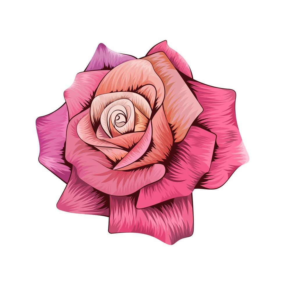 Beautiful rose flower isolated on white background. vector