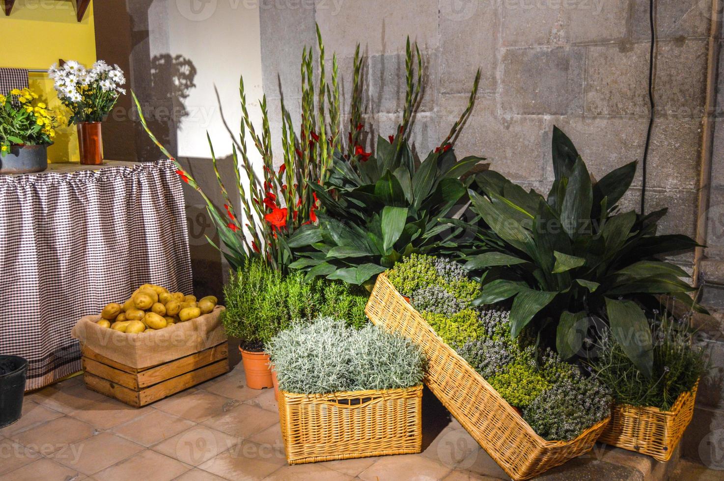 festival de las flores en girona temps de flors, españa. 2018 foto