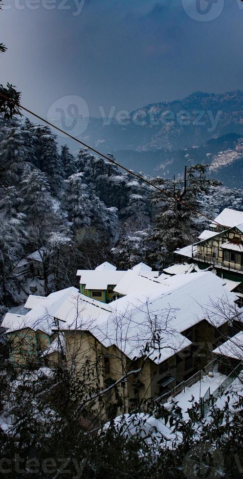 The snow doesn't give a soft white damn whom it touches photo