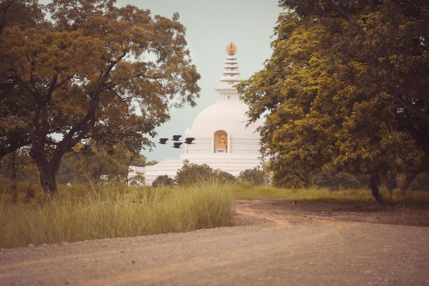 el lugar de nacimiento de gautam buddha foto