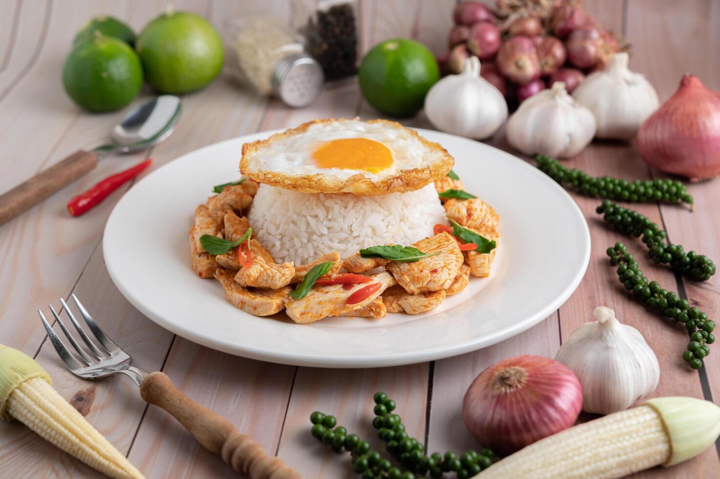 Stir fried chili paste with chicken and rice fried eggs photo