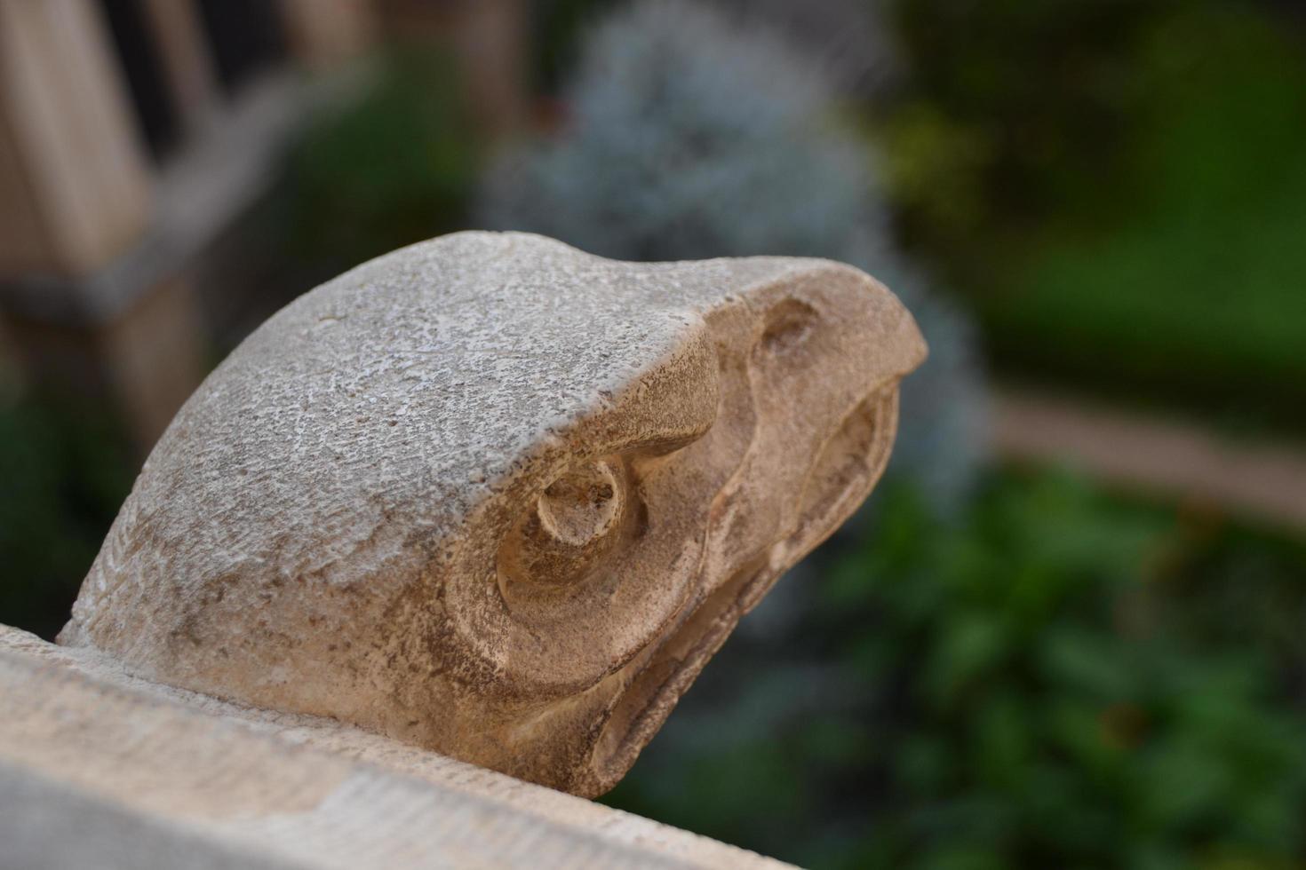 Stone gargoyle representing the head of an eagle photo