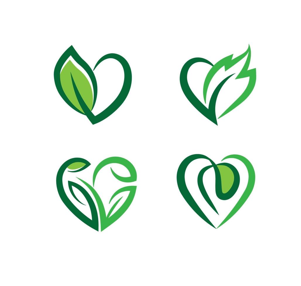 heart and leaf vector illustration