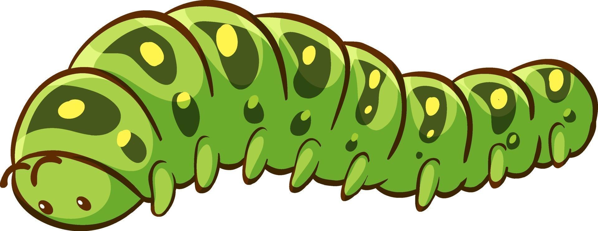 Caterpillar cartoon on white background vector