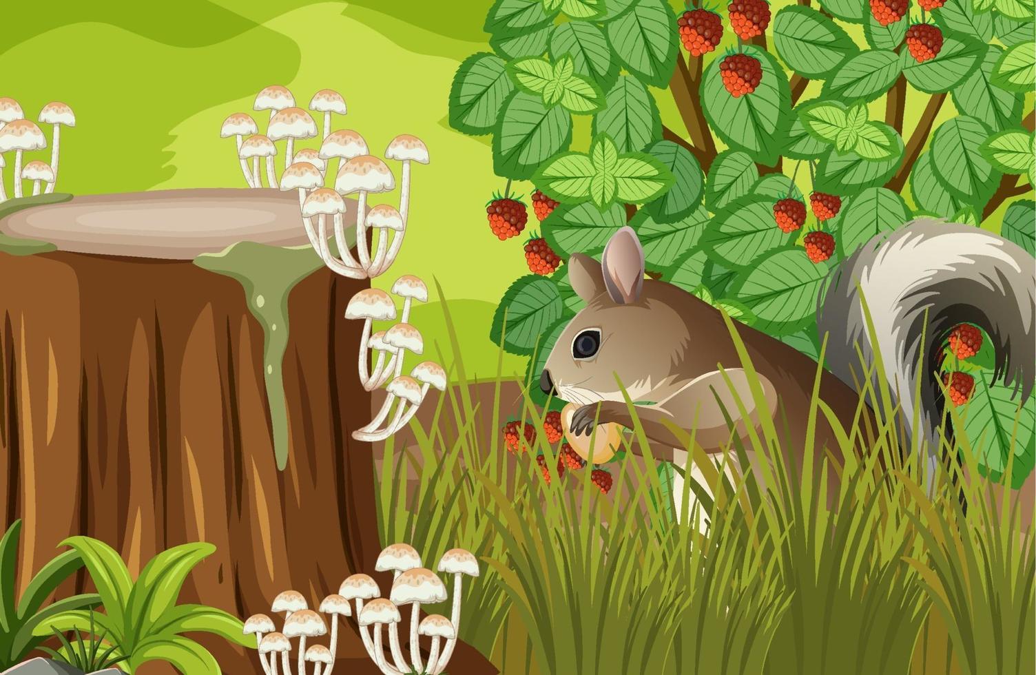 Squirrel hidden in the forest vector