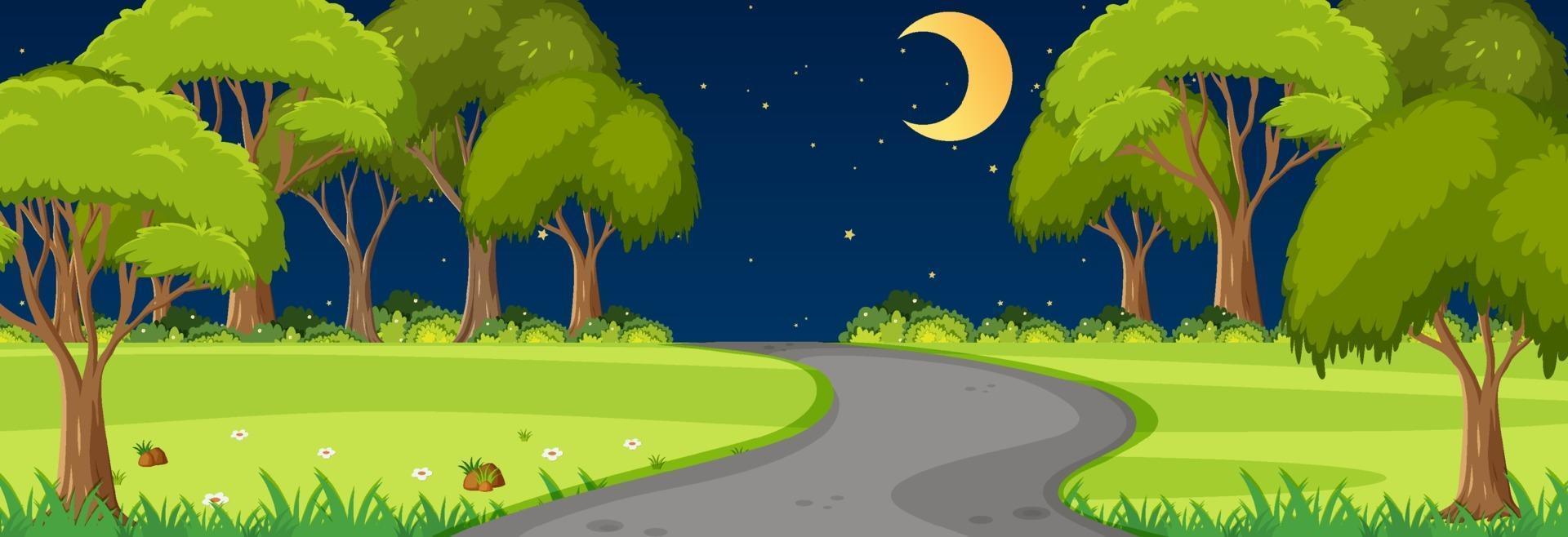 Road through the park at night time horizontal scene vector