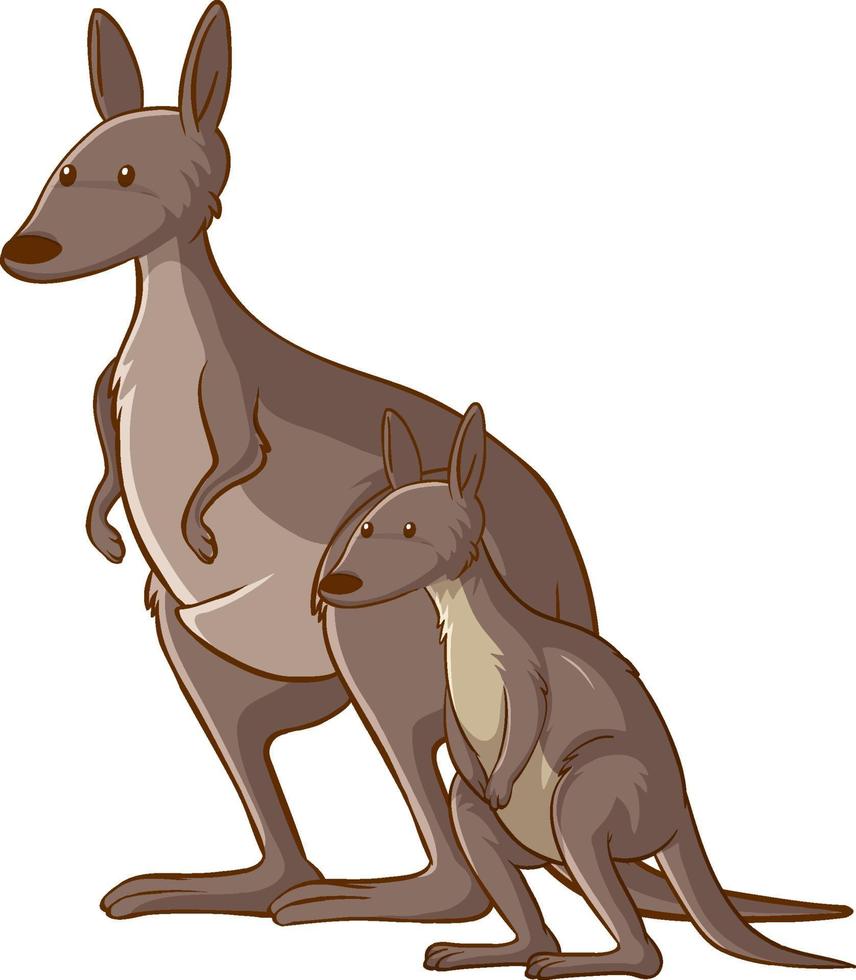 Mother and baby kangaroo cartoon on white background vector