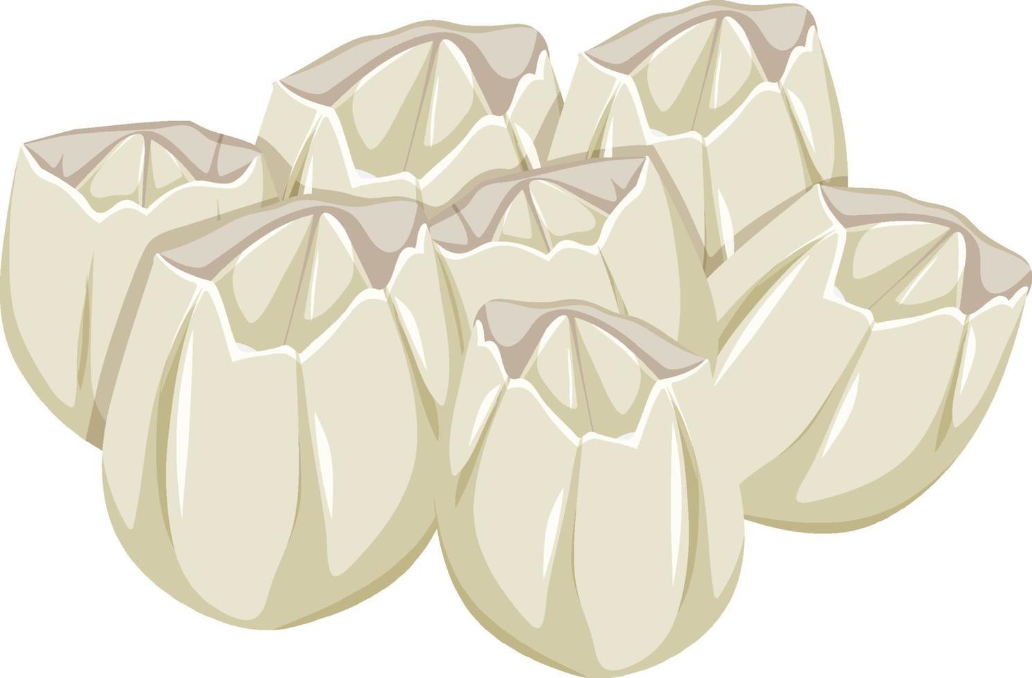 Ivoly Barnacles in cartoon style on white background vector