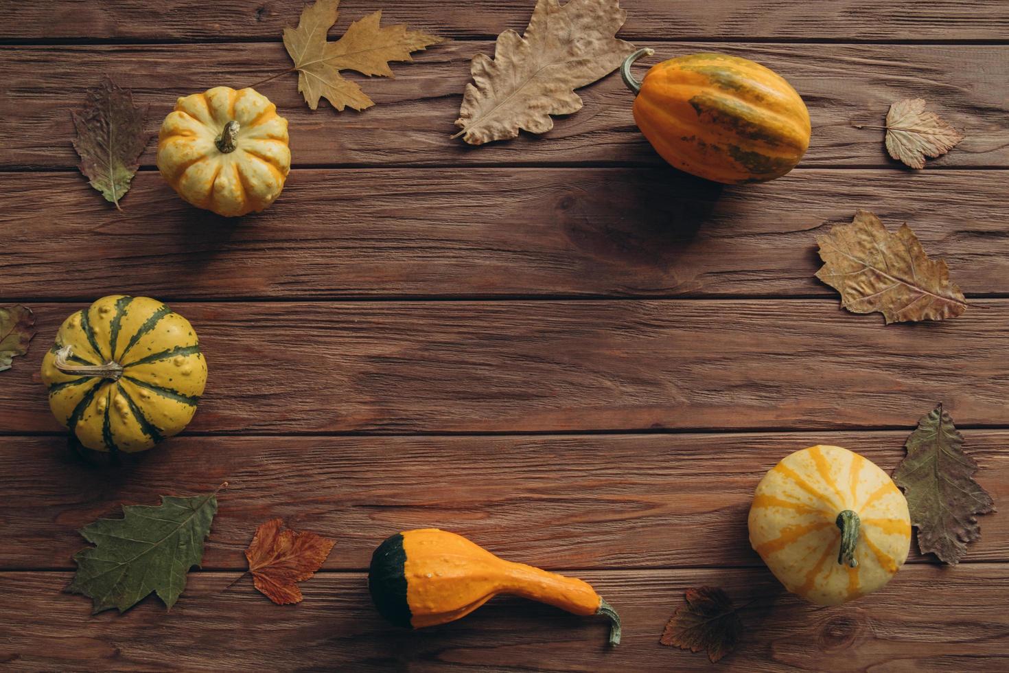Produce pumpkins, autumn leaves on wood table photo