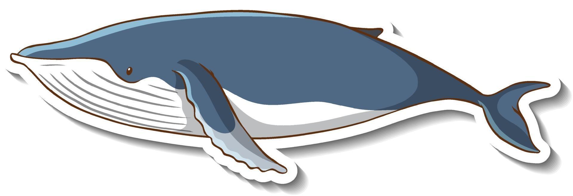 Plantilla de etiqueta engomada con un personaje de dibujos animados de ballena aislado vector