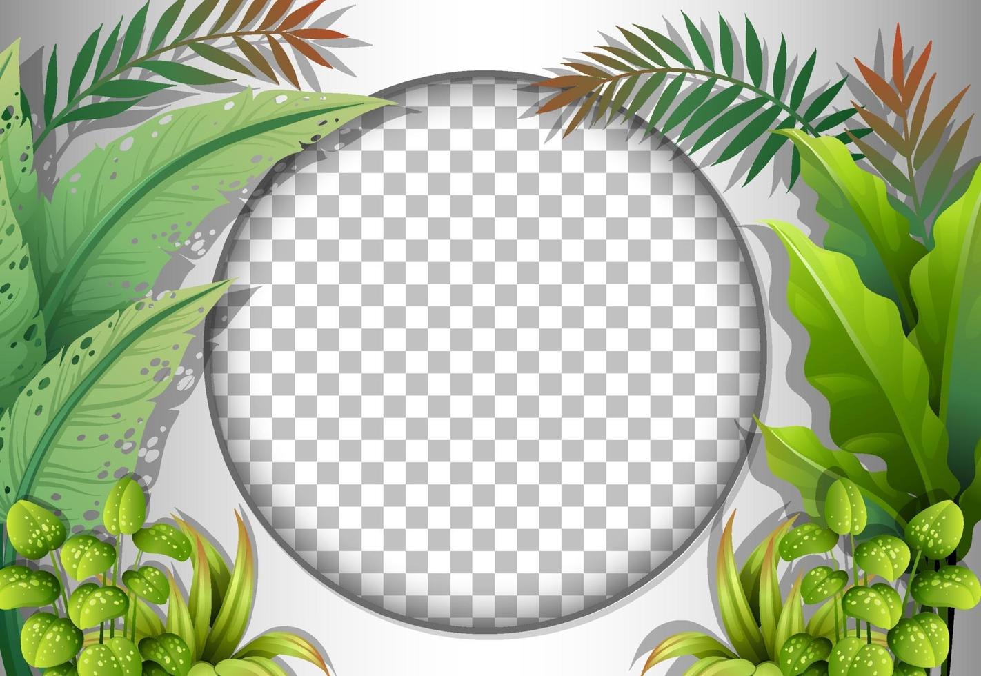 Round frame  with tropical leaves template vector