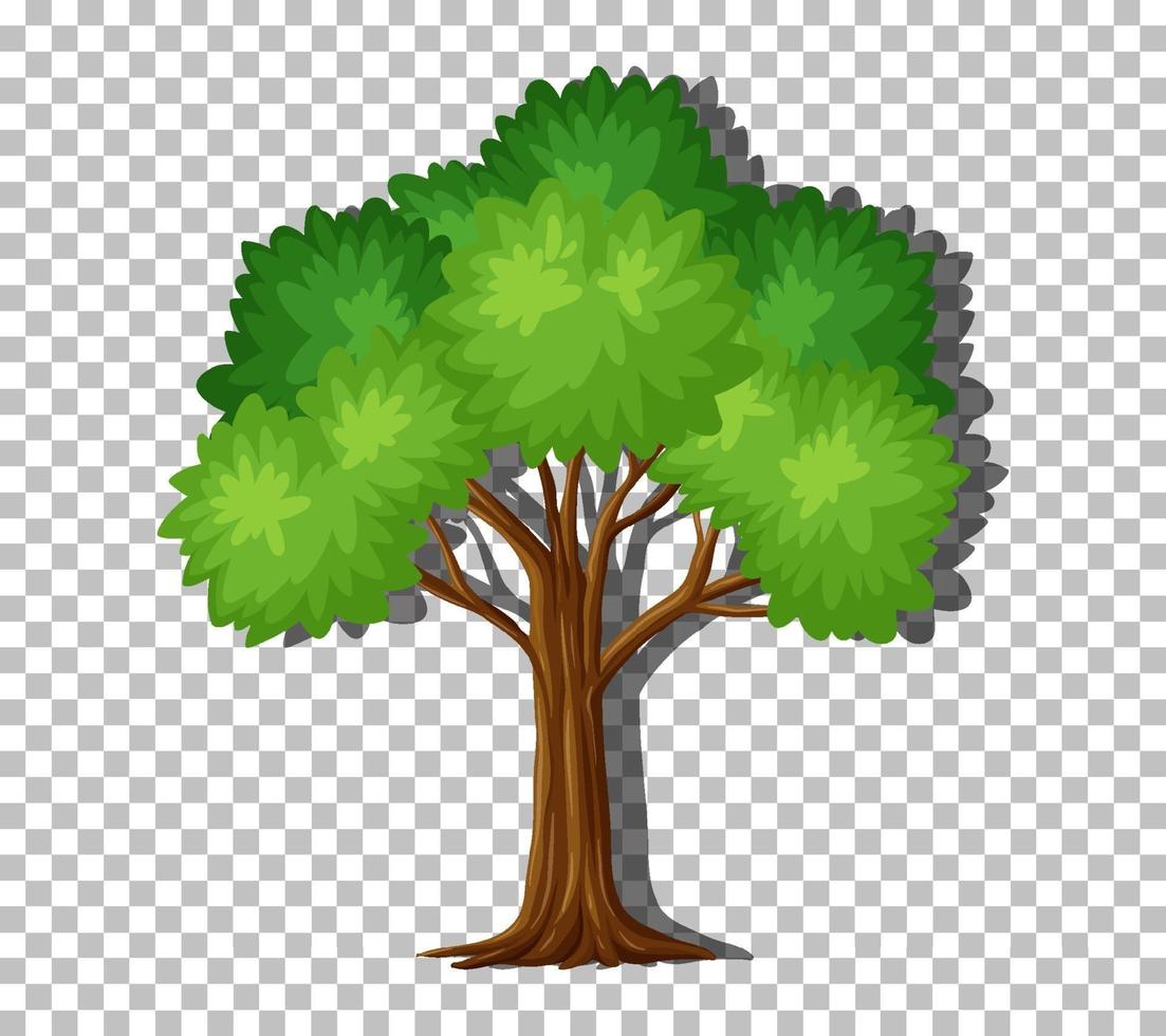 solo árbol con hojas verdes vector