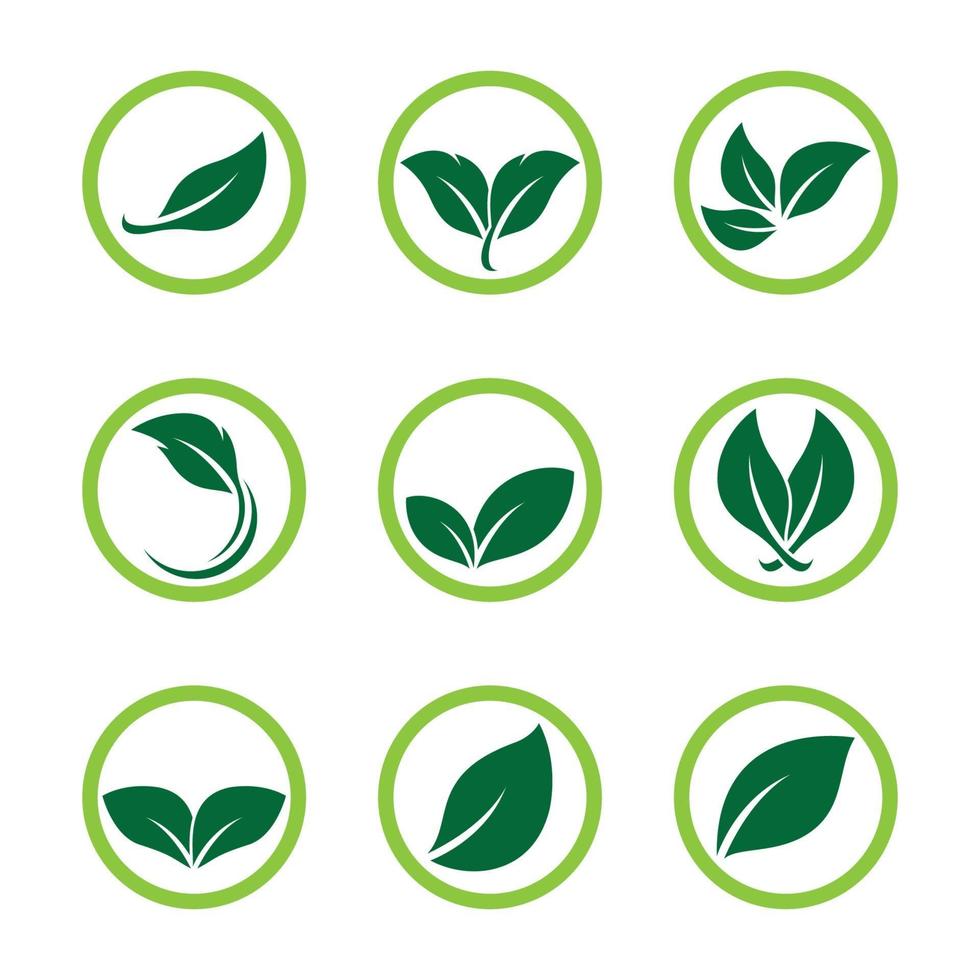 Leaf logo images vector