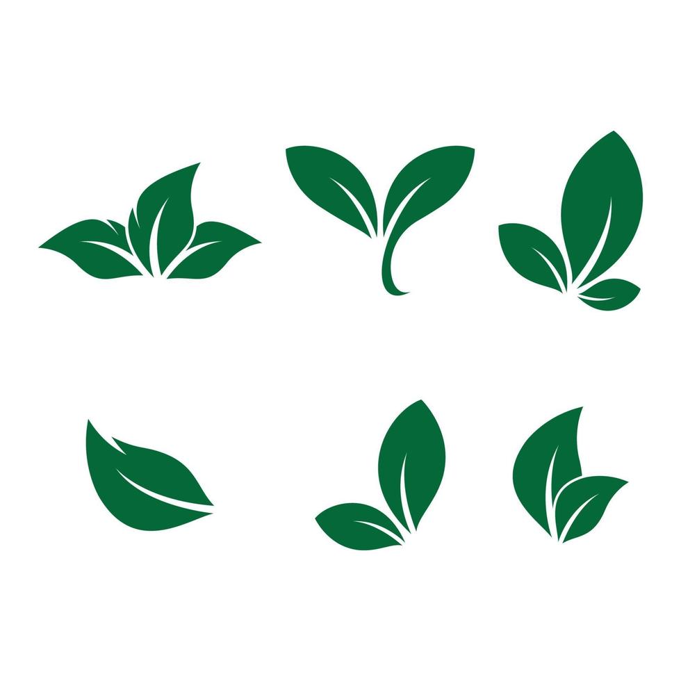 imagenes de logo de hoja vector