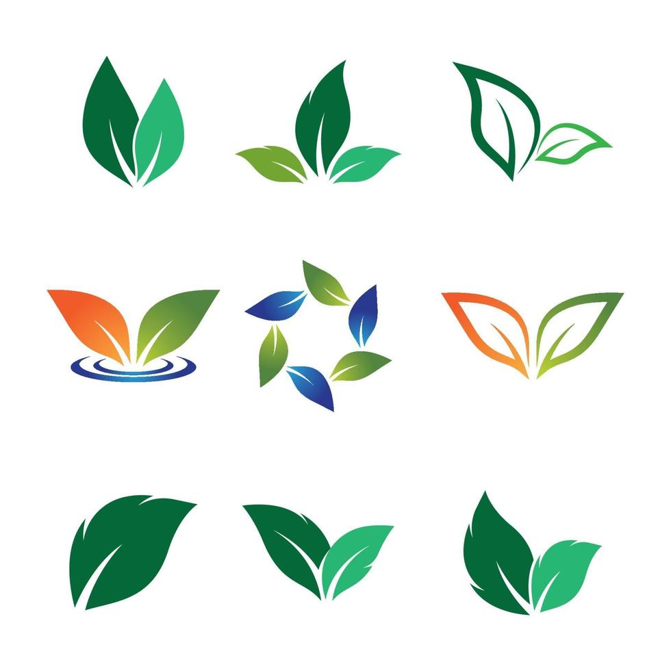 imagenes de logo de hoja vector