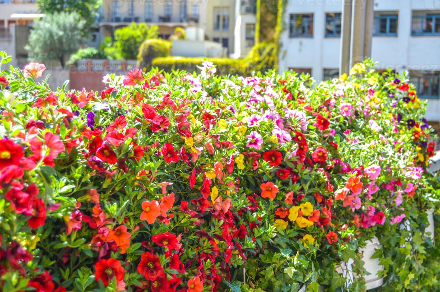 Flower Festival in Girona Temps de Flors, Spain. 2018 photo